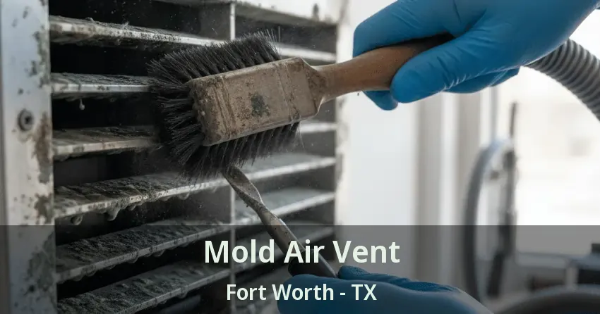 Mold Air Vent Fort Worth - TX Mold Air Vent Fort Worth - TX