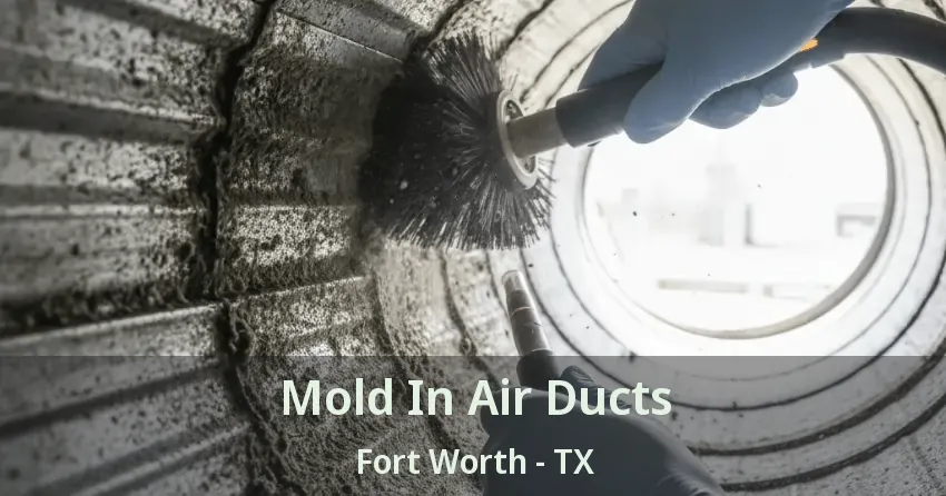 Mold In Air Ducts Fort Worth - TX