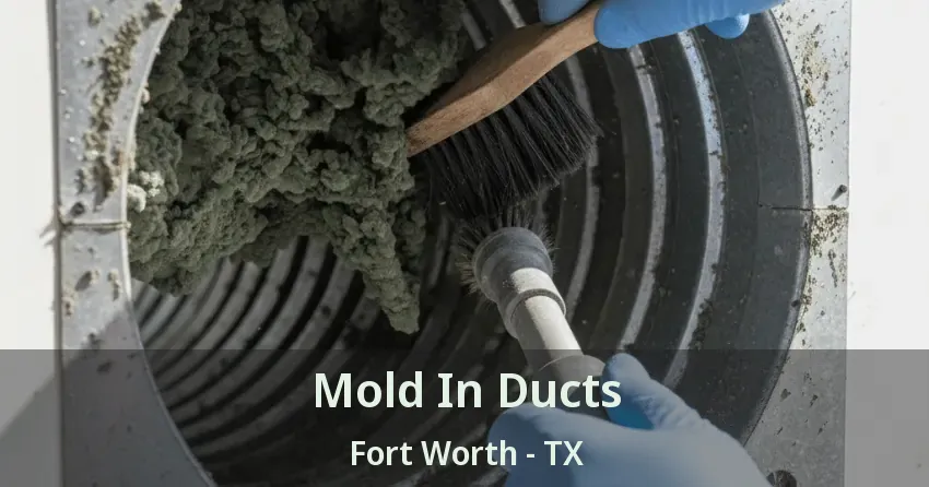 Mold In Ducts Fort Worth - TX