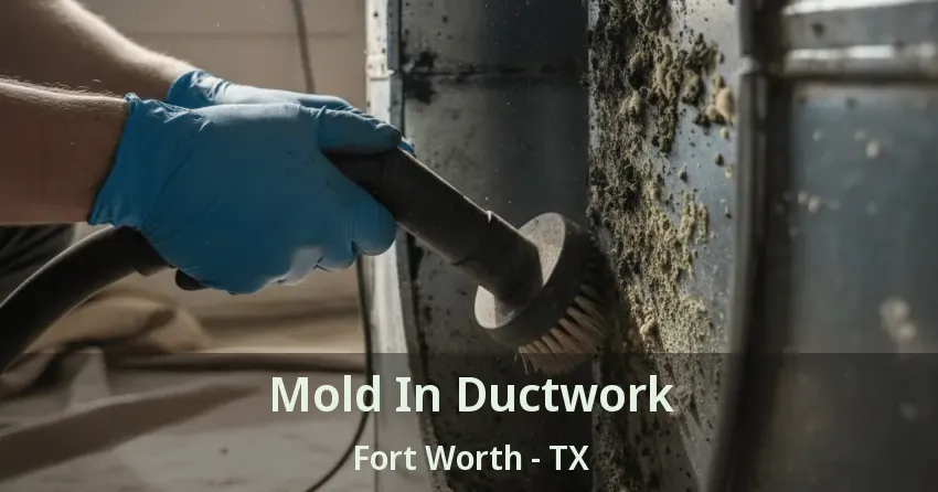Mold In Ductwork Fort Worth - TX