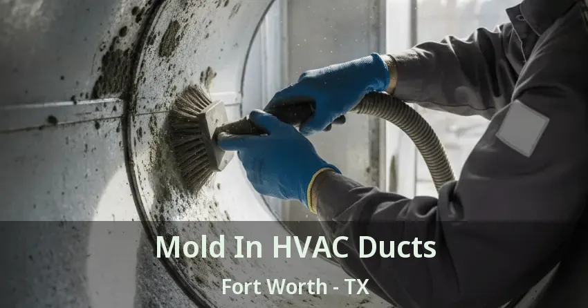 Mold In HVAC Ducts Fort Worth - TX Mold In HVAC Ducts Fort Worth - TX