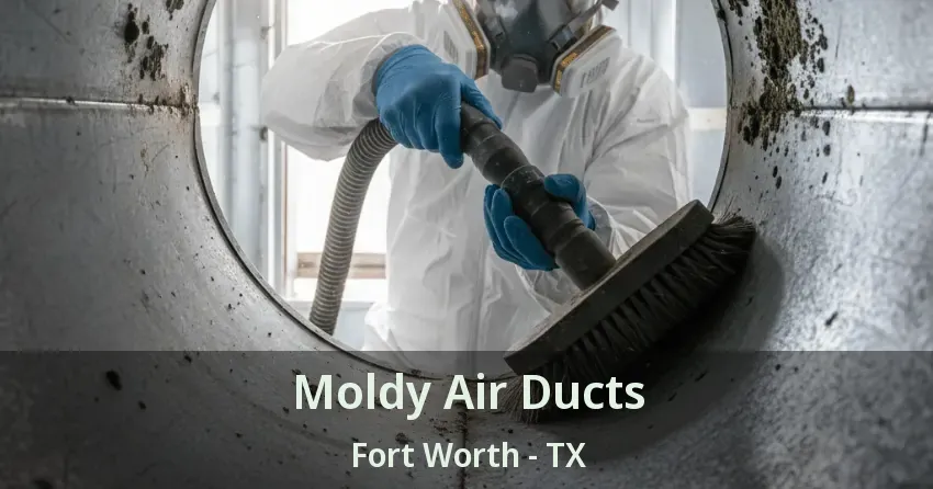 Moldy Air Ducts Fort Worth - TX